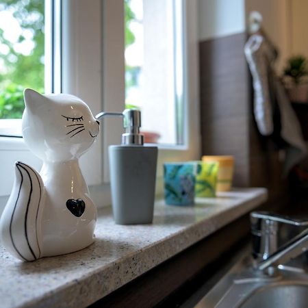 Apartament Crni Macak Matulji Zewnętrze zdjęcie